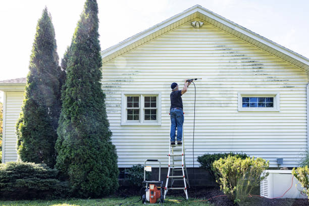 Best Roof Washing  in Taft Southwest, TX